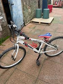 Bicicletta per ragazza