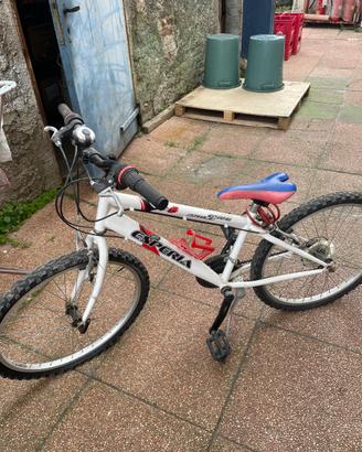 Bicicletta per ragazza