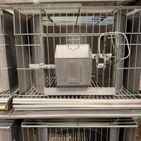 Gabbie in acciaio inox per conigli