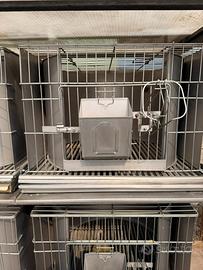 Gabbie in acciaio inox per conigli