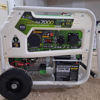 Generatore Elettrico GENERGY 7000W NATURA7000 230V