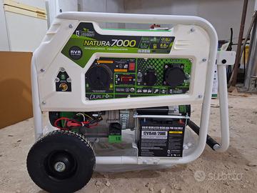 Generatore Elettrico GENERGY 7000W NATURA7000 230V