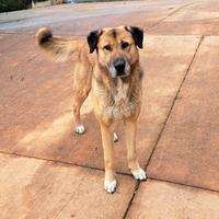 Disponibile per monte