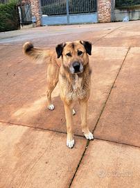 Disponibile per monte