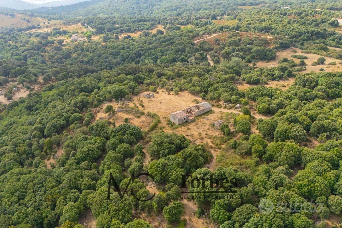 Luogosanto - Terreno di 41 ettari con stazzo gallu - Altro