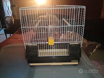 gabbia uccellini 