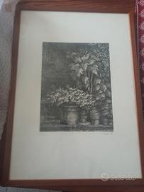 Incisione o acquaforte di V. Poneti