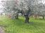 Immagine 7