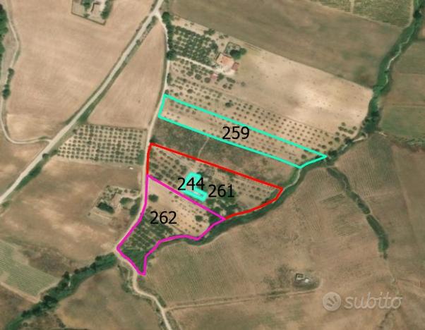 Terreno casa C/Da Rocche 0.66ha uliveto Calatafimi