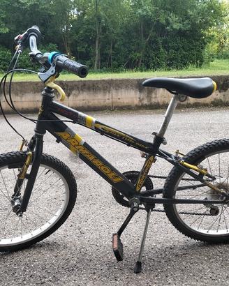 Mountain Bike 20"