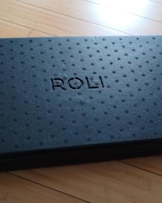Roli Seaboard RISE 25