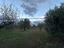 Immagine 10