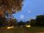 Immagine 25