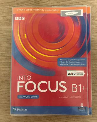 Into focus b1+