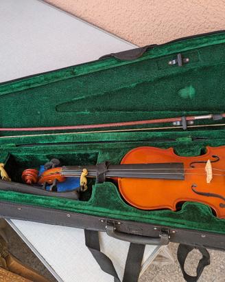 Violino con custodia 