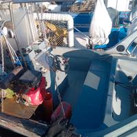 Barca da pesca