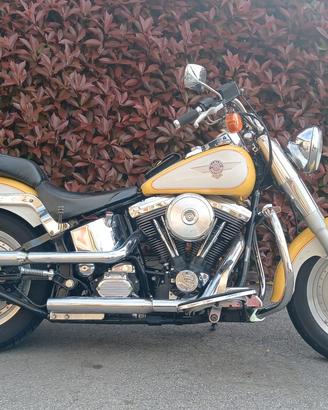 Harley-davidson Fat Boy