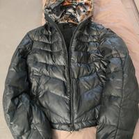 Giubbino Daniele Alessandrini 