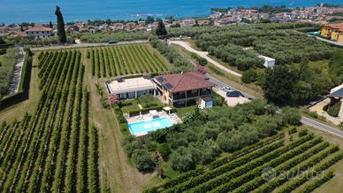 Bardolino per studenti