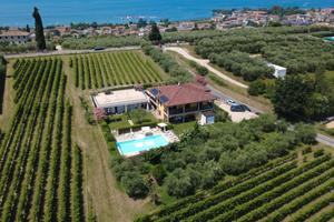 Bardolino per studenti