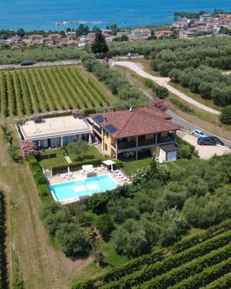 Bardolino per studenti