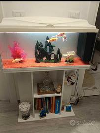 Acquario tipo mobiletto 