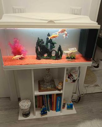 Acquario tipo mobiletto 