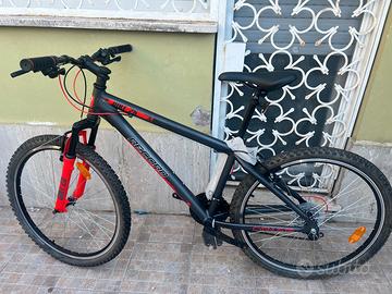 mtb hervis x fact