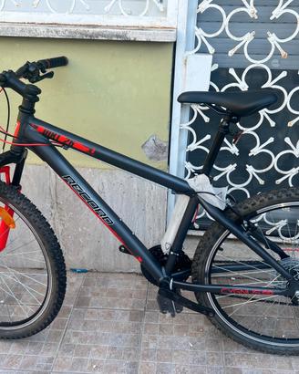 mtb hervis x fact