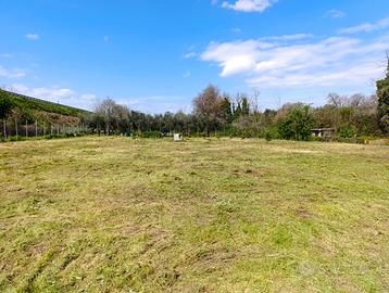 Terreno per picnic