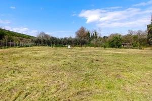 Terreno per picnic