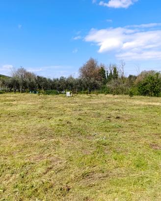 Terreno per picnic