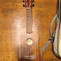 Ukulele