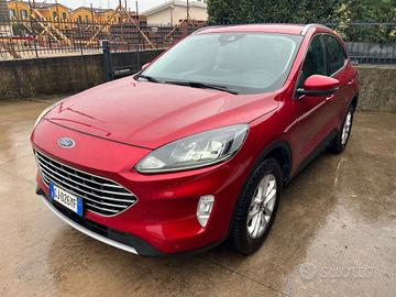 Ford Kuga 2.0 EcoBlue Hybrid 150 CV 2WD Titanium B