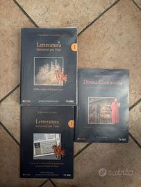 Letteratura istruzioni per l’uso 1