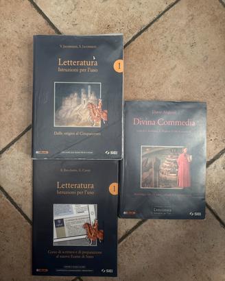 Letteratura istruzioni per l’uso 1