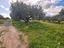 Immagine 10