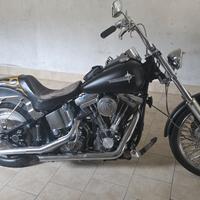 1340 softail 