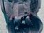 Immagine 6