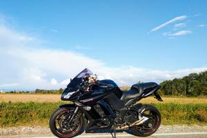 Kawasaki Z1000 SX 