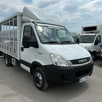 Iveco daily 35 c 13 trasporto animali vivi