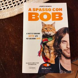 a spasso con bob
