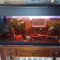 Acquario Poseidon