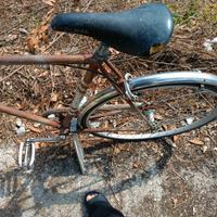 Bici da uomo da passeggio 26