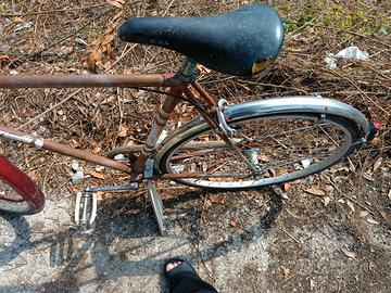 Bici da uomo da passeggio 26