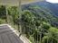 Immagine 29