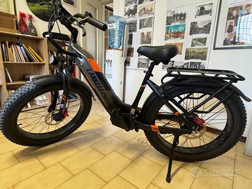 Bicicletta a pedalata assistita solo 490 km