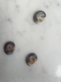 Occhi di Santa Lucia 