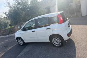 FIAT PANDA 1.2 BENZINA – ANNO 2020
