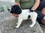 Immagine 3